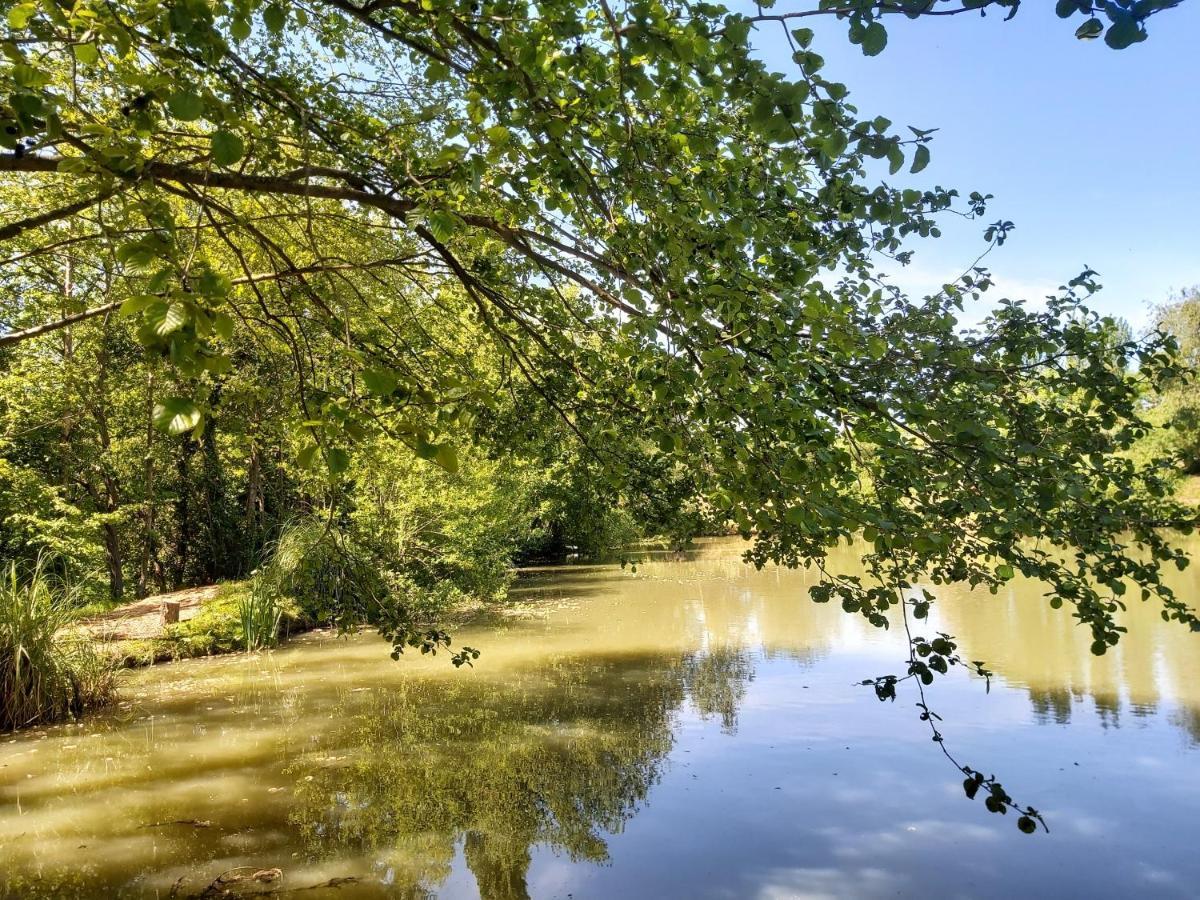 E7 Roebeck Country Park Villa Ryde  Dış mekan fotoğraf
